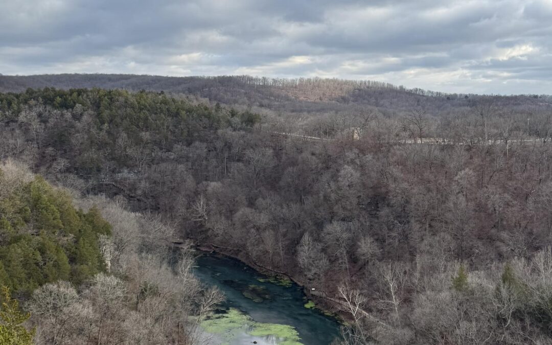 The Calling of Dan Matthews